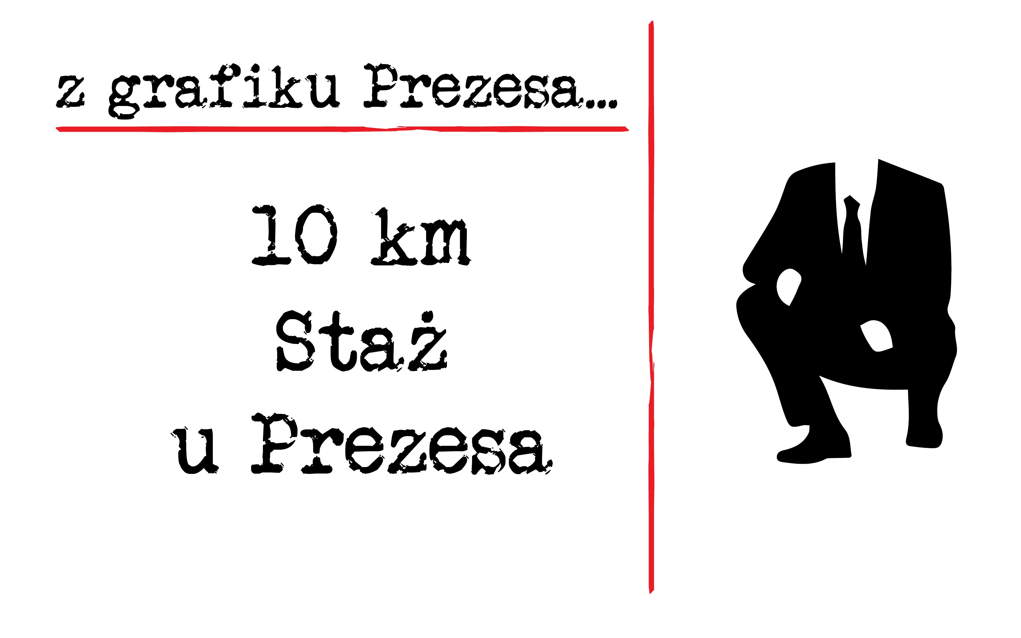 10 km Staż u Prezesa