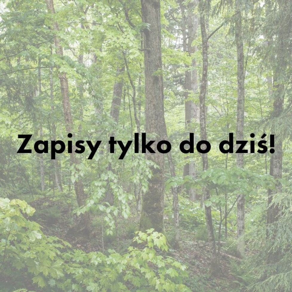 zapisy