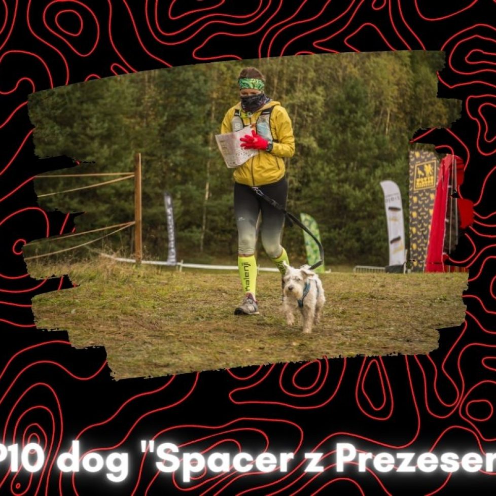 tp10 dog tp10 dog