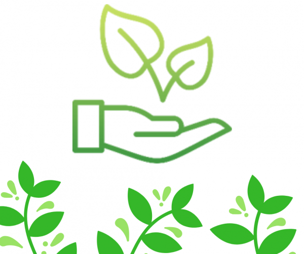 eco eco