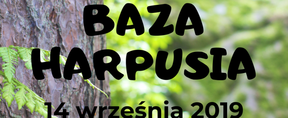 baza zaspa