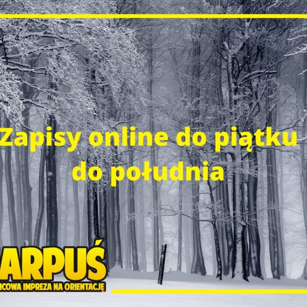 zapisy