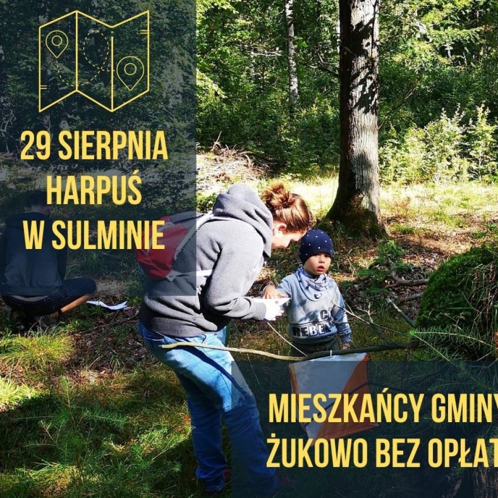 sulmin