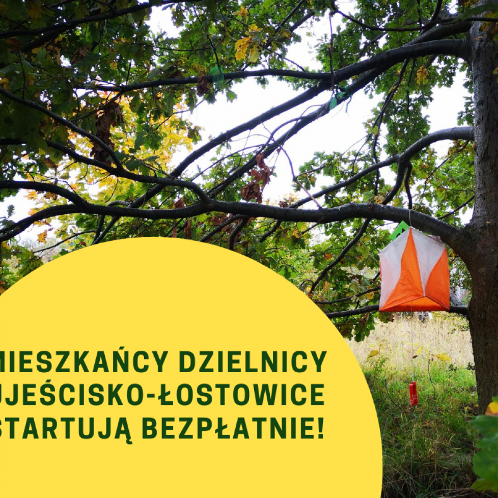 ujeścisko
