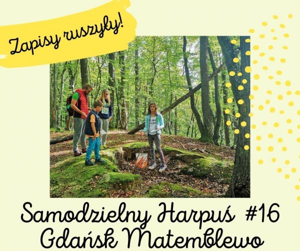 zapisy ruszyly S16 zapisy ruszyly S16