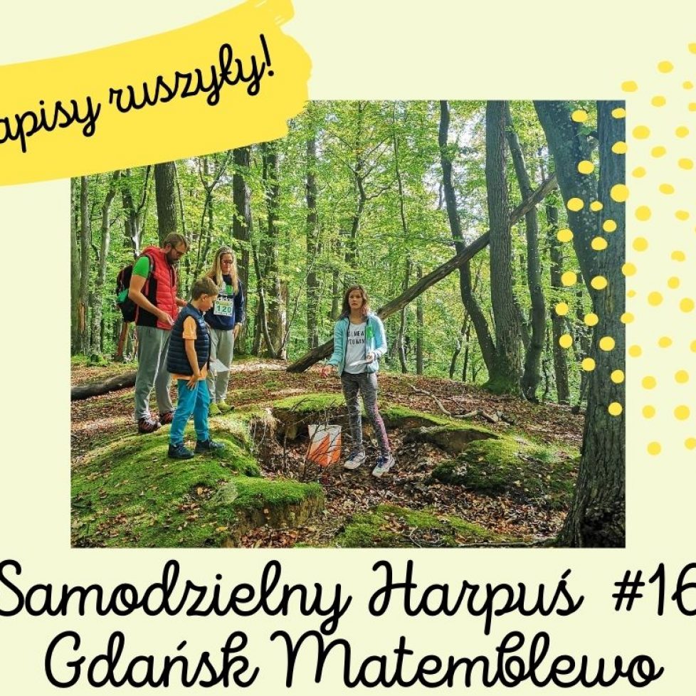 zapisy ruszyly S16
