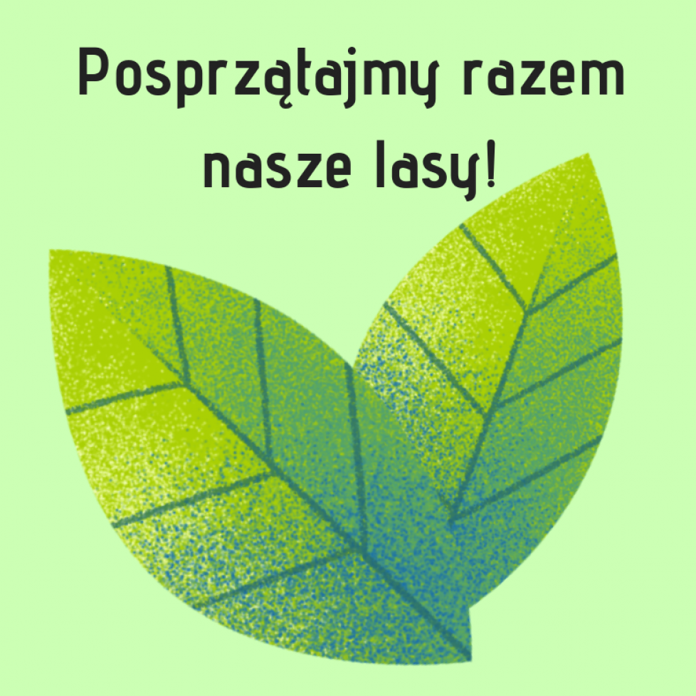 sprzatanie sprzatanie