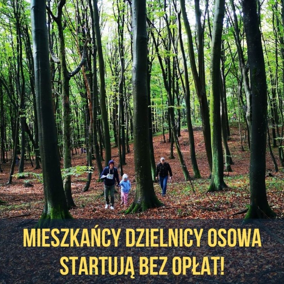 osowa (1)