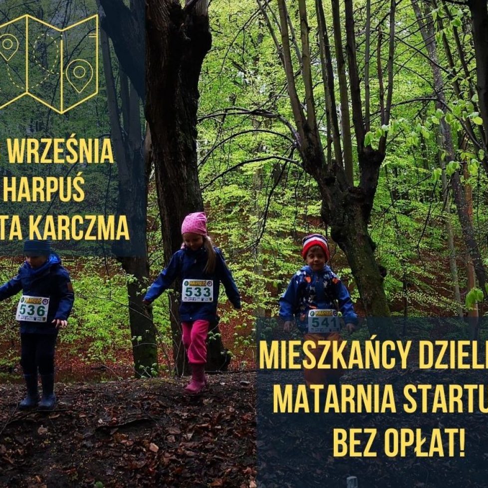 złota złota