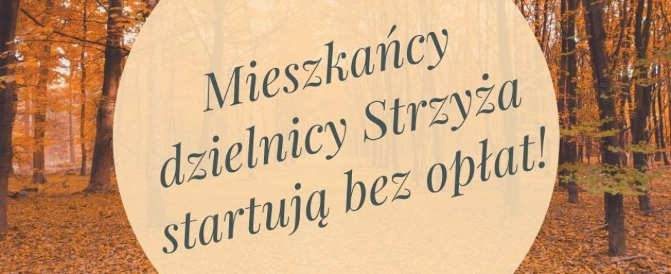 strzyza (1)