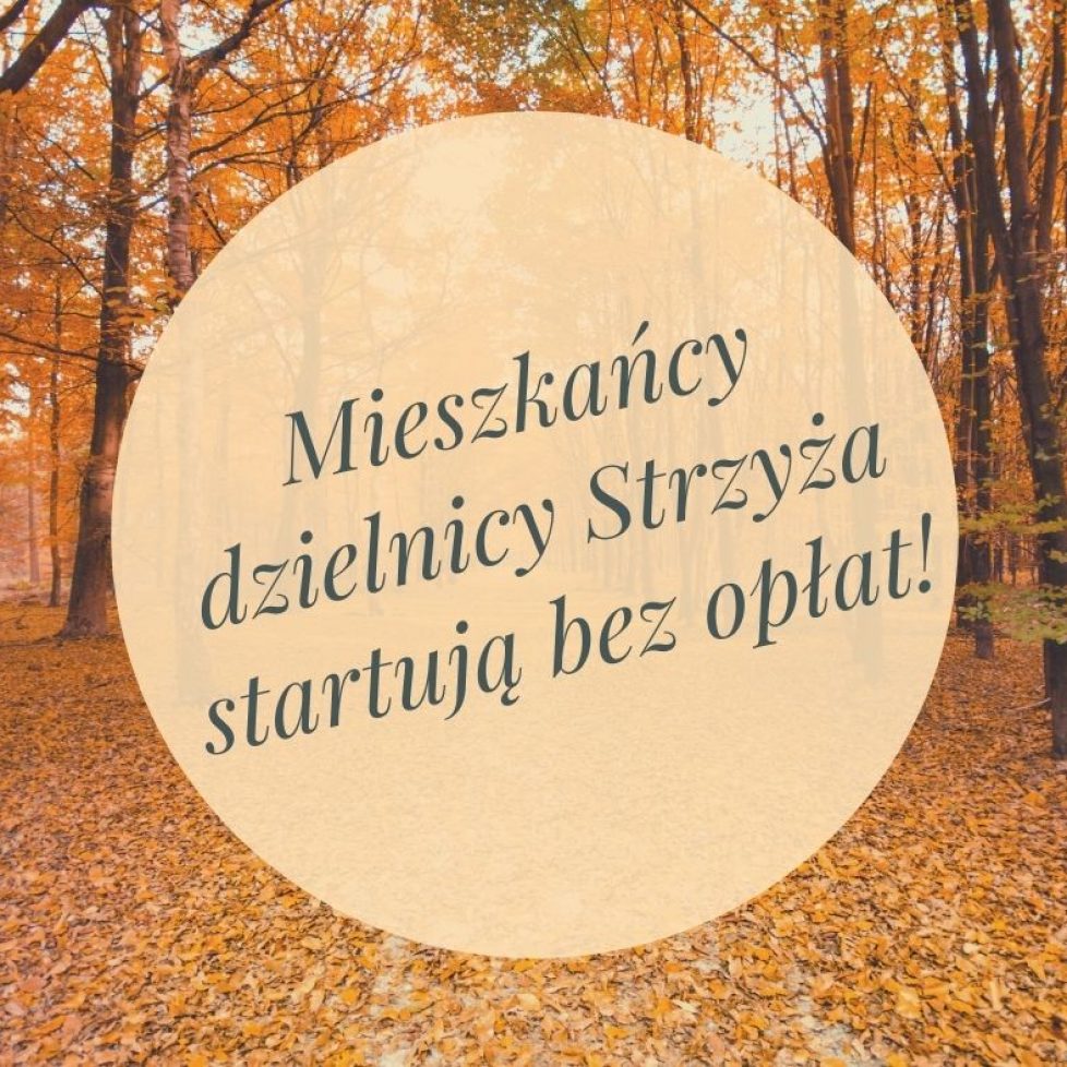 strzyza (1)