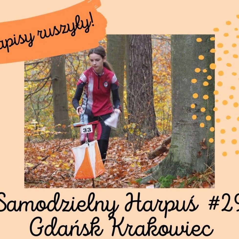 zapisy ruszyly S29