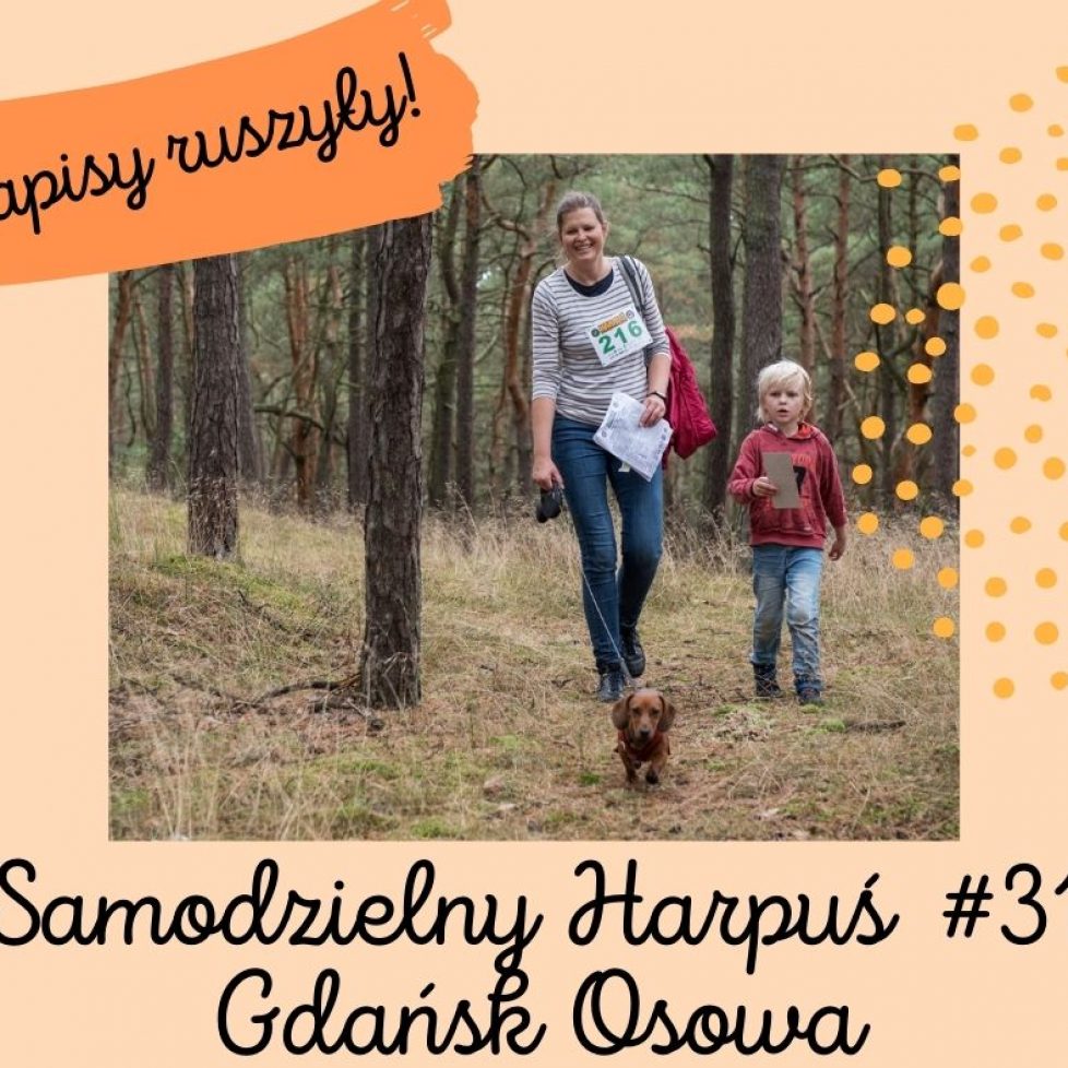 zapisy ruszyly S31