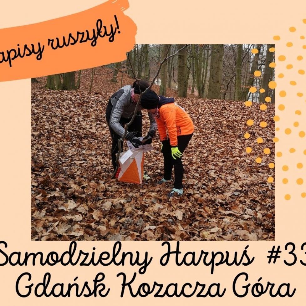 zapisy ruszyly S33