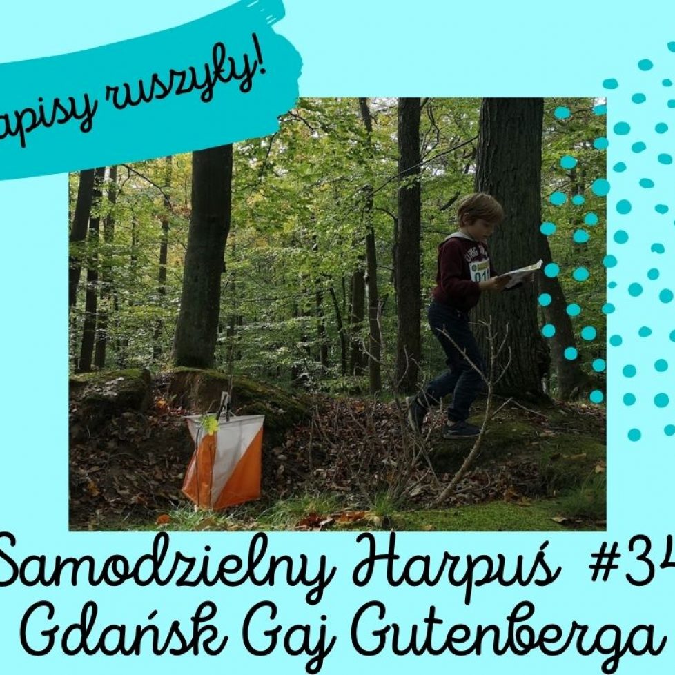 zapisy ruszyly S34