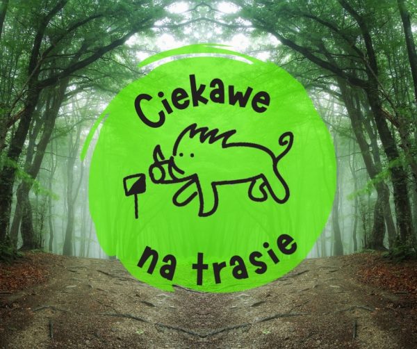 ciekawe