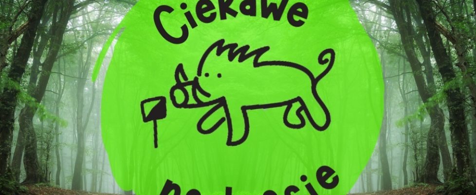 ciekawe