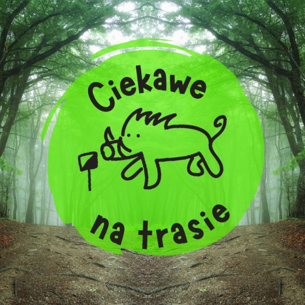 ciekawe