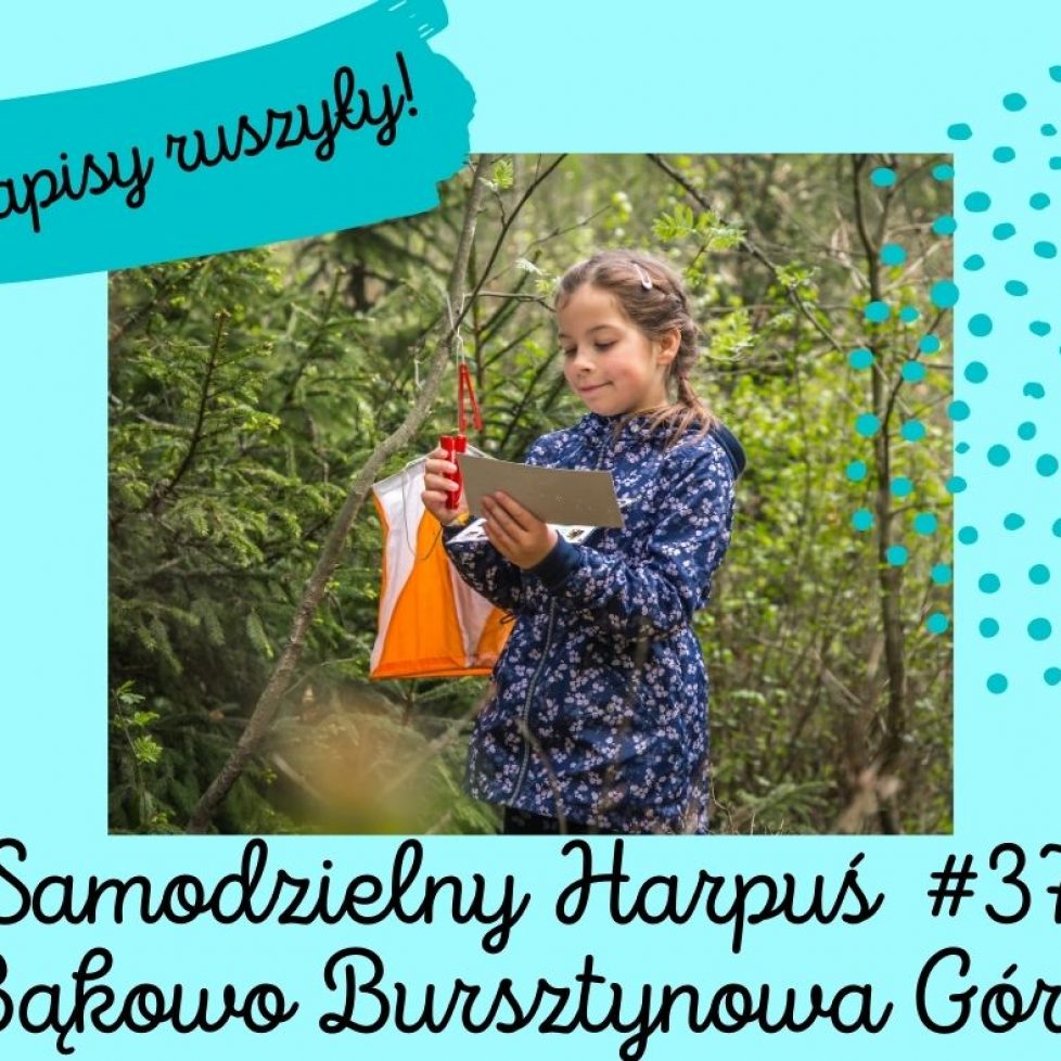 zapisy ruszyly S37