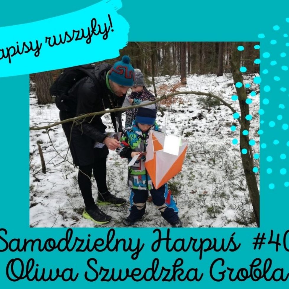 zapisy ruszyly S40