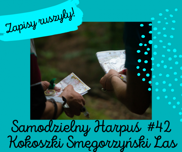 zapisy ruszyly S42
