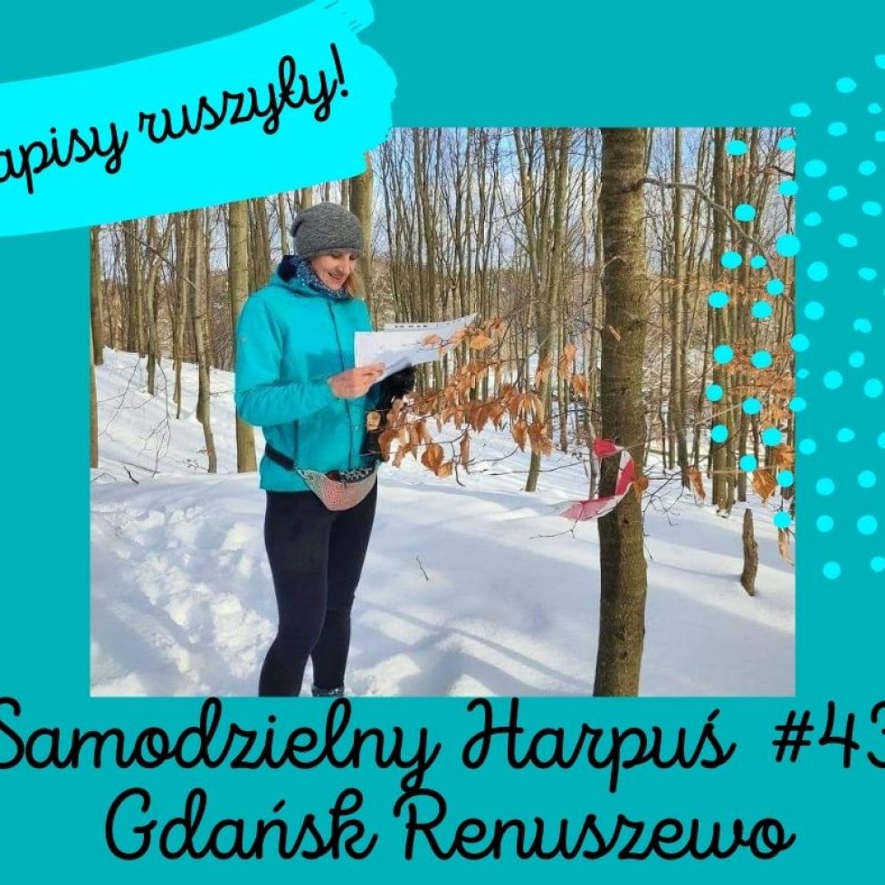 zapisy ruszyly S43