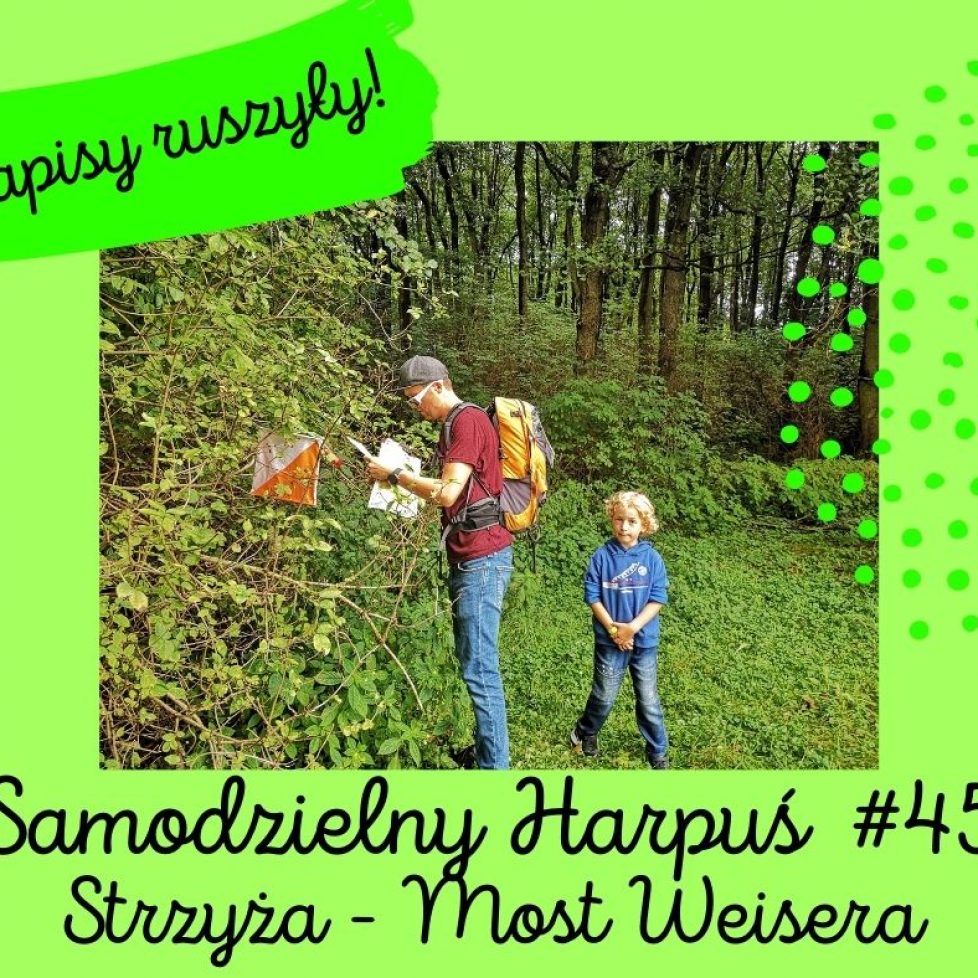 zapisy ruszyly S45