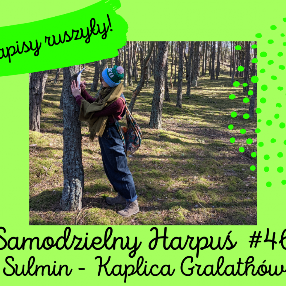 zapisy ruszyly S46