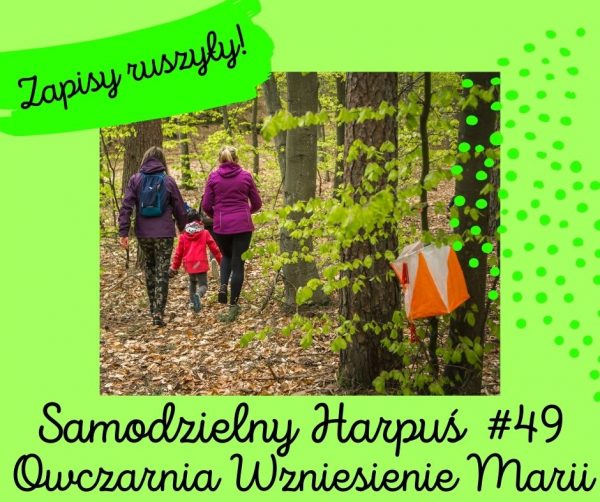 zapisy ruszyly S49 zapisy ruszyly S49