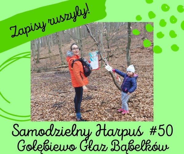 zapisy ruszyly 50 zapisy ruszyly 50