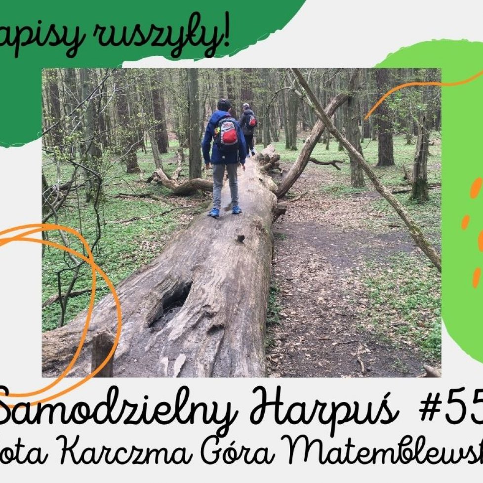 zapisy 55