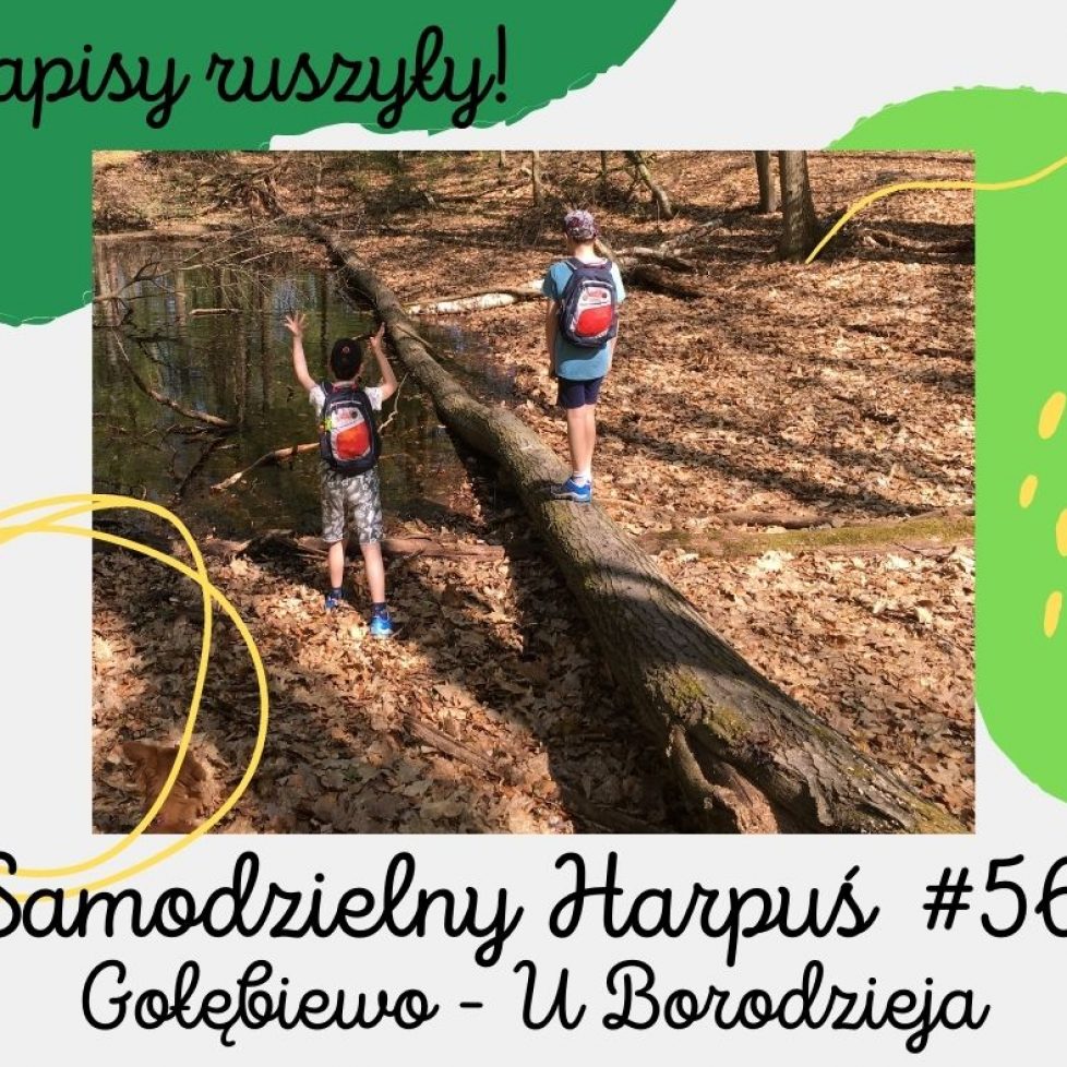 zapisy 56