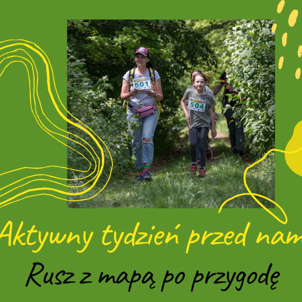 przygody