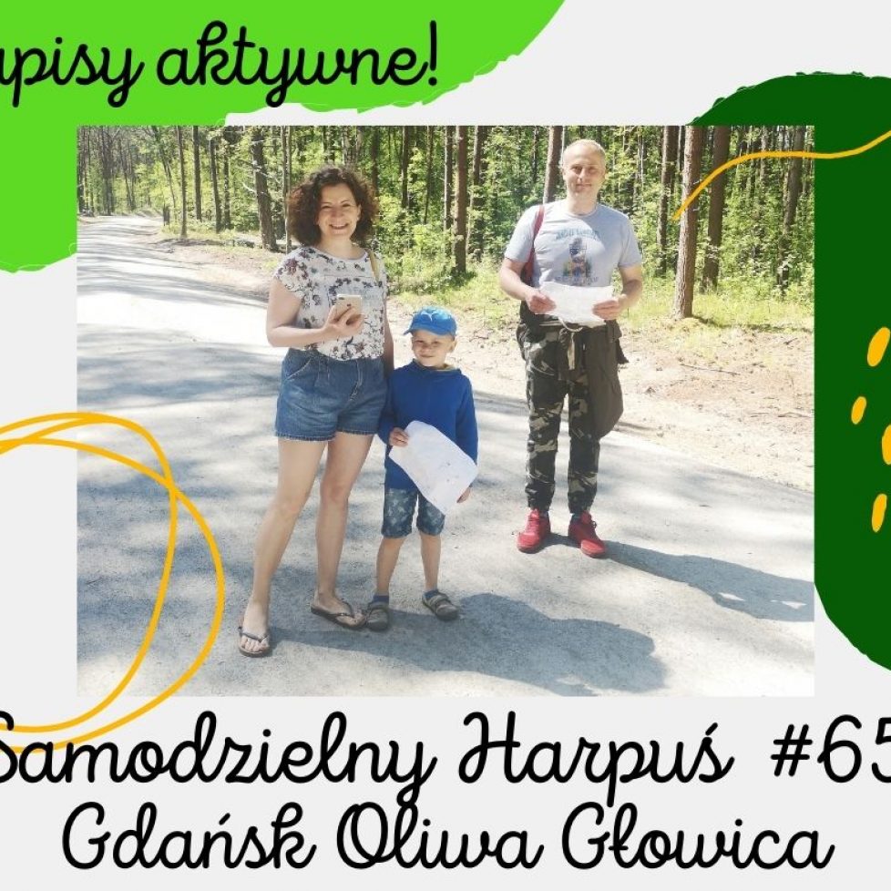 zapisy 65