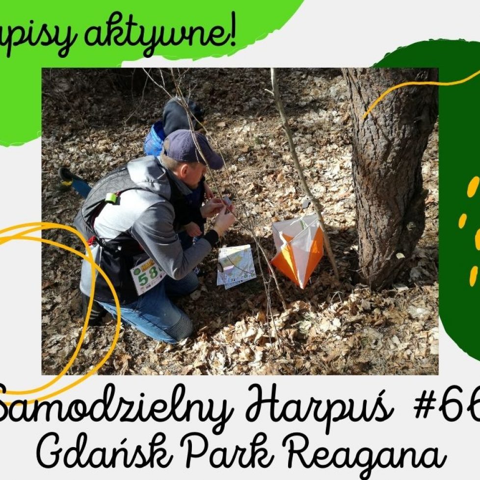 zapisy 66