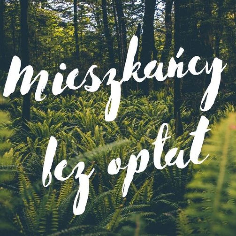 bez oplat