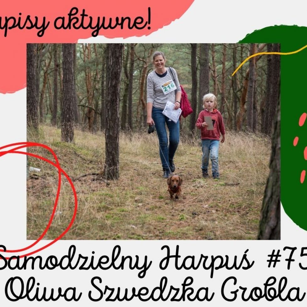 zapisy 75