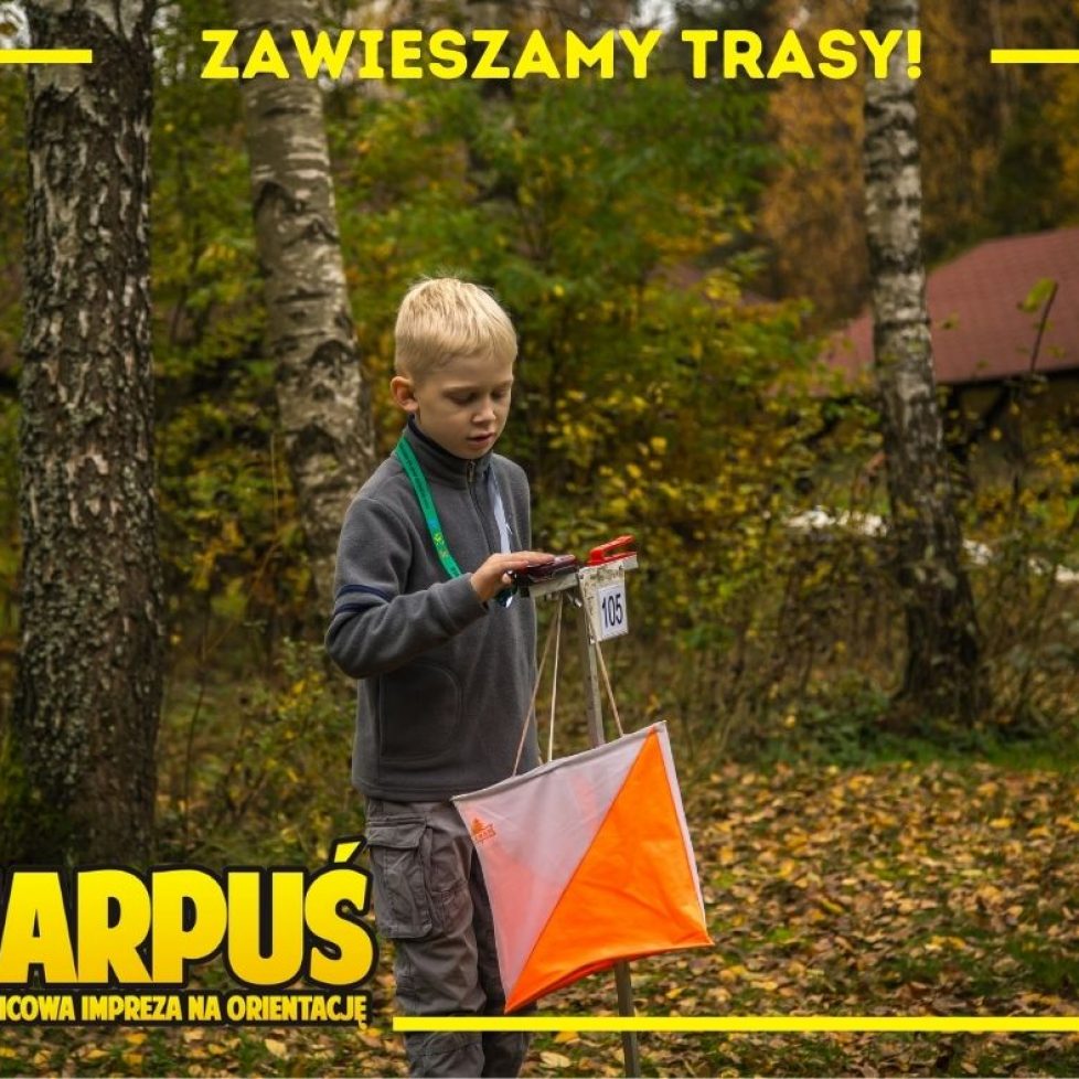 zawieszamy