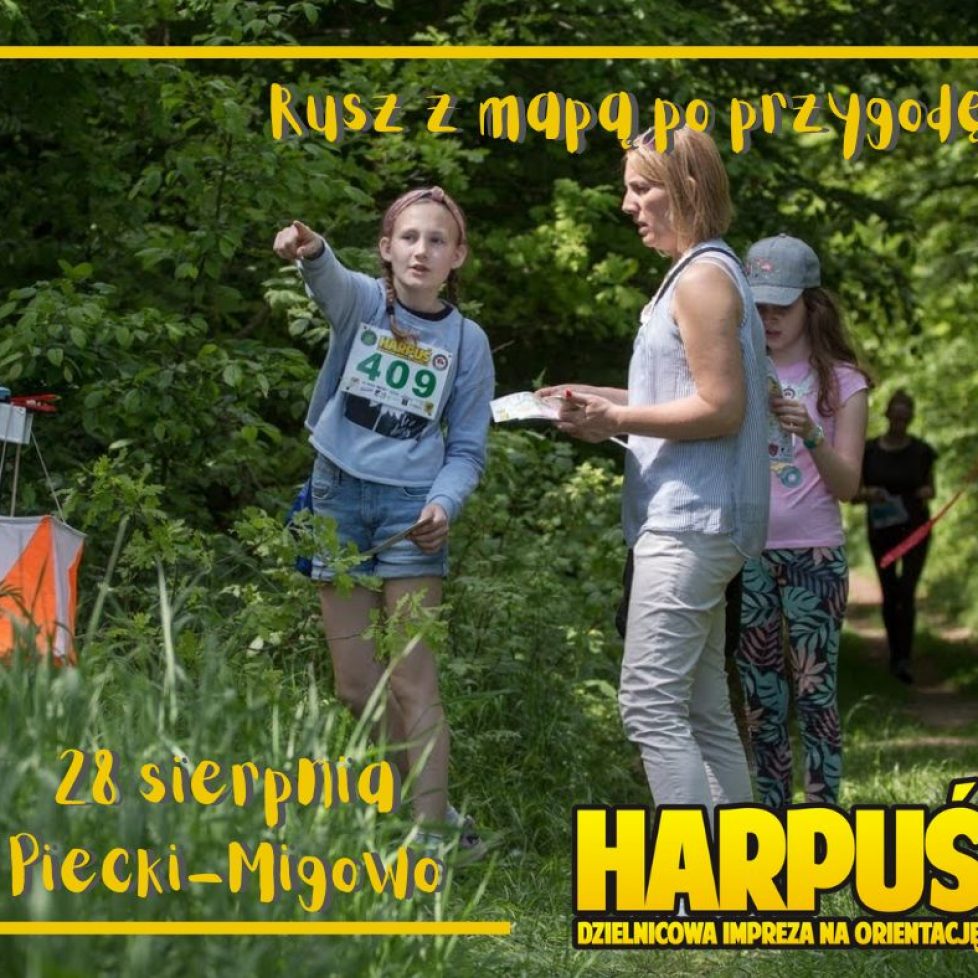 piecki (1)
