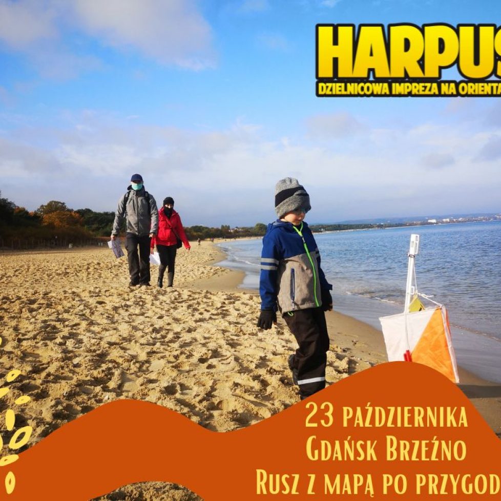 23.10