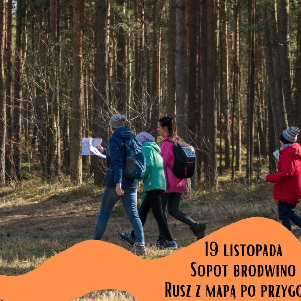 19.11