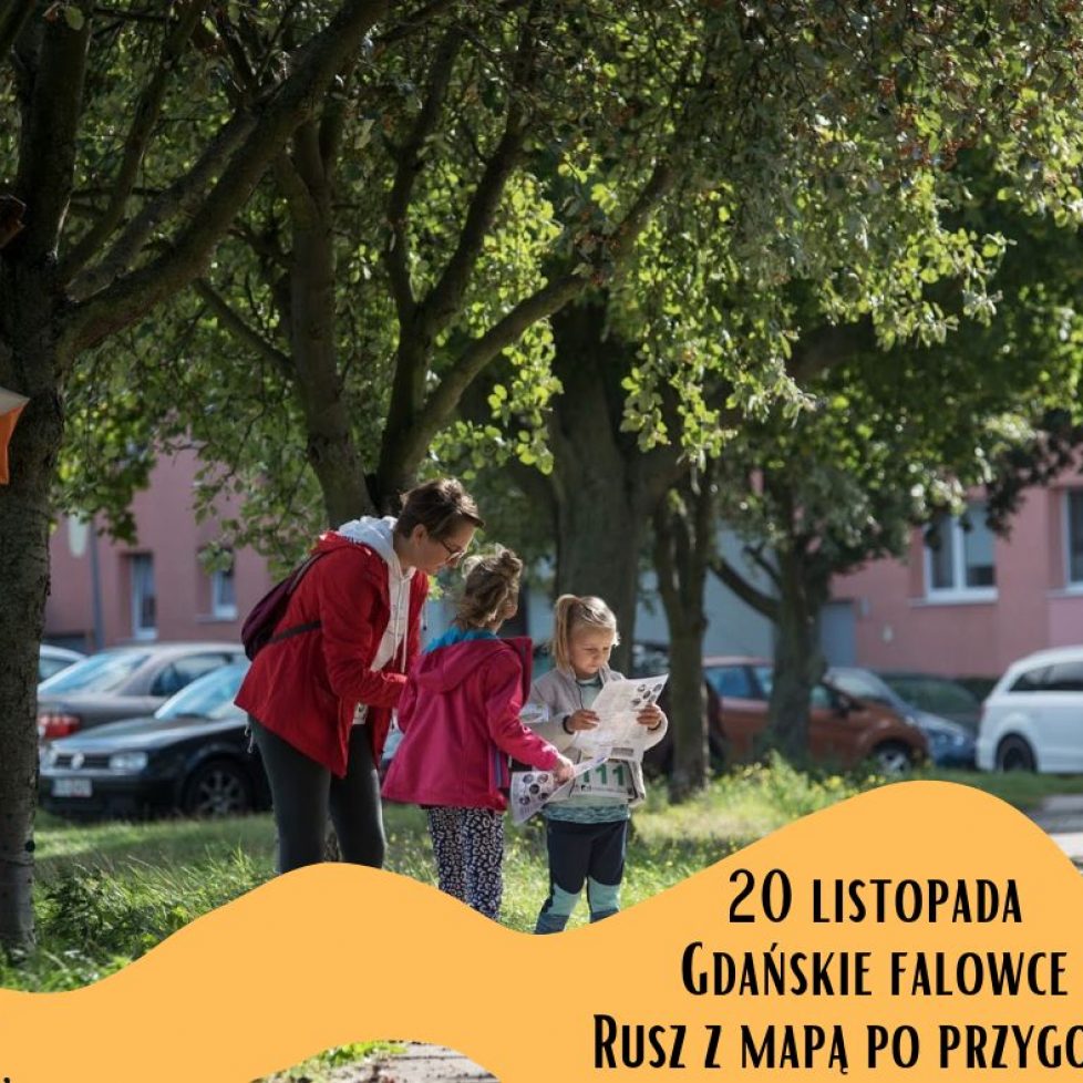 20.11