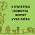 504 zapisy