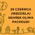 29.06 zapisy