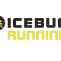 icebug1