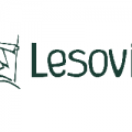 lesovik1