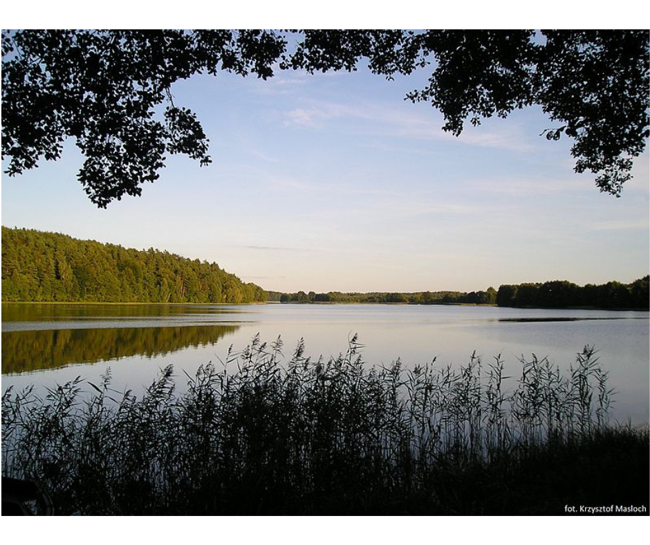 Miastko_brama