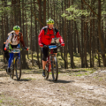 rowerzysci rowerzysci