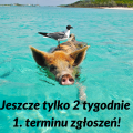 Jeszcze tylko 2 tygodnie 1. terminu zgłoszeń Jeszcze tylko 2 tygodnie 1. terminu zgłoszeń