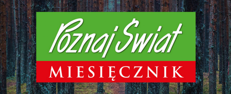 poznaj swiat